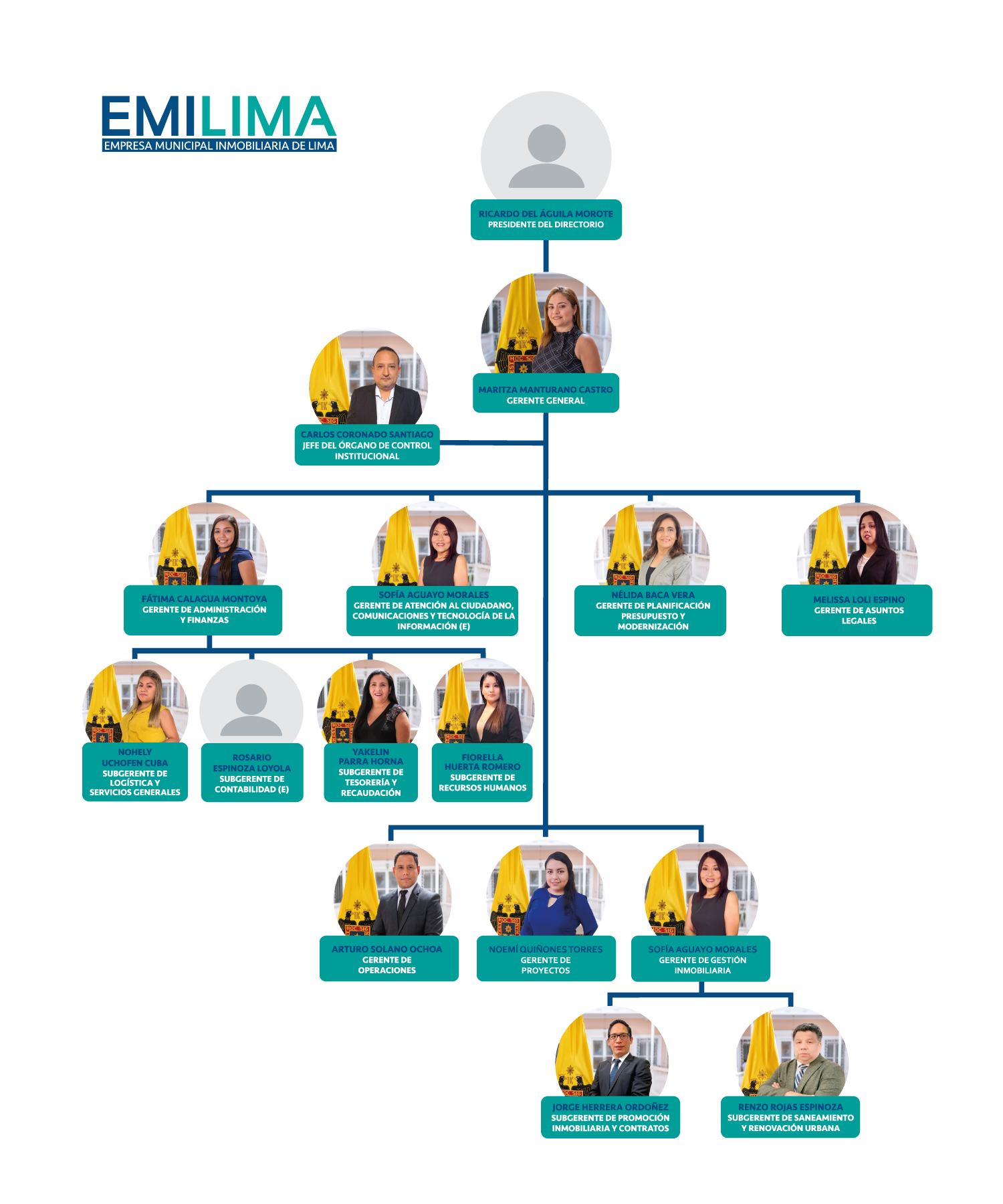 Estructura orgánica Emilima