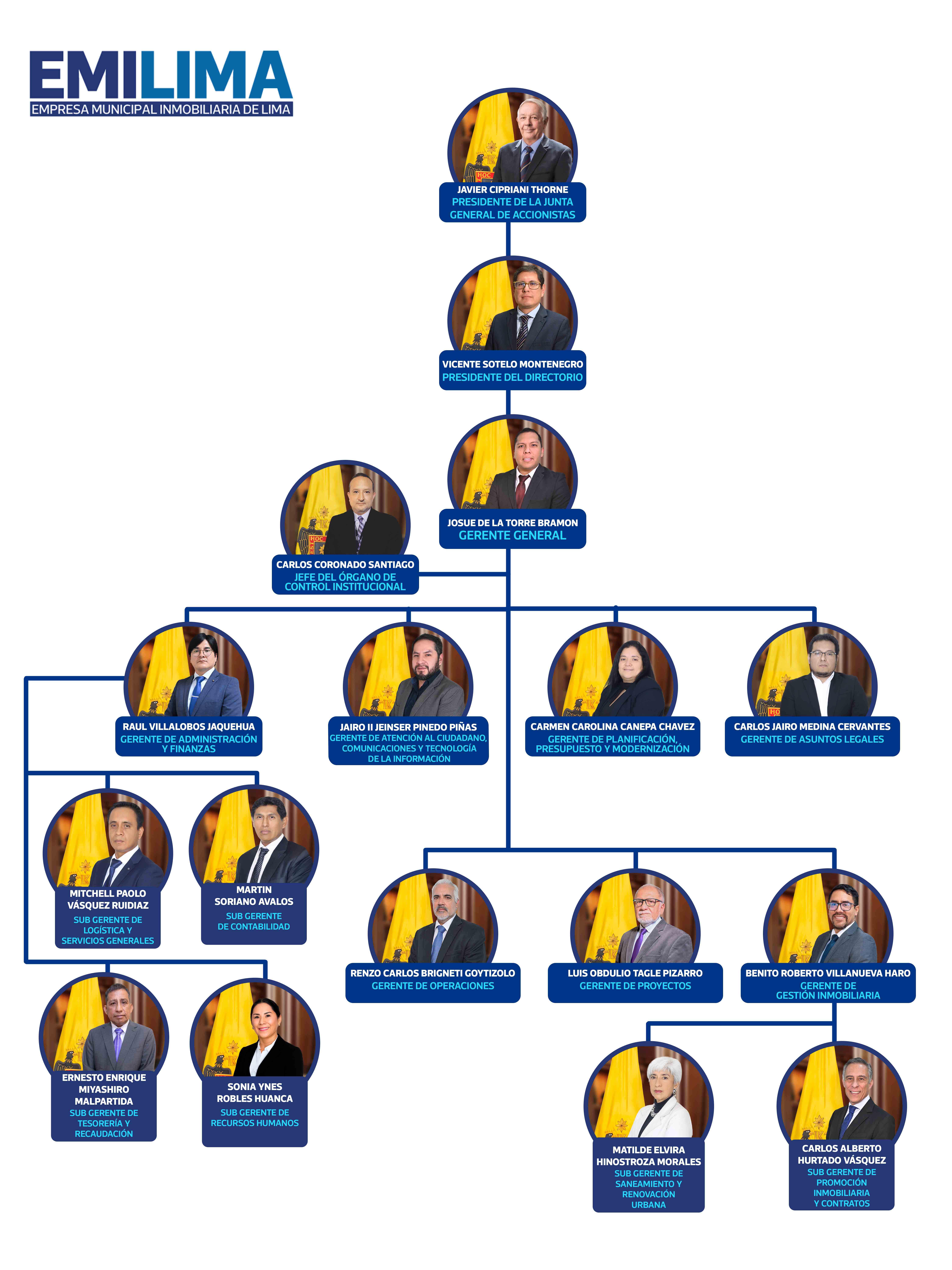 Estructura orgánica Emilima