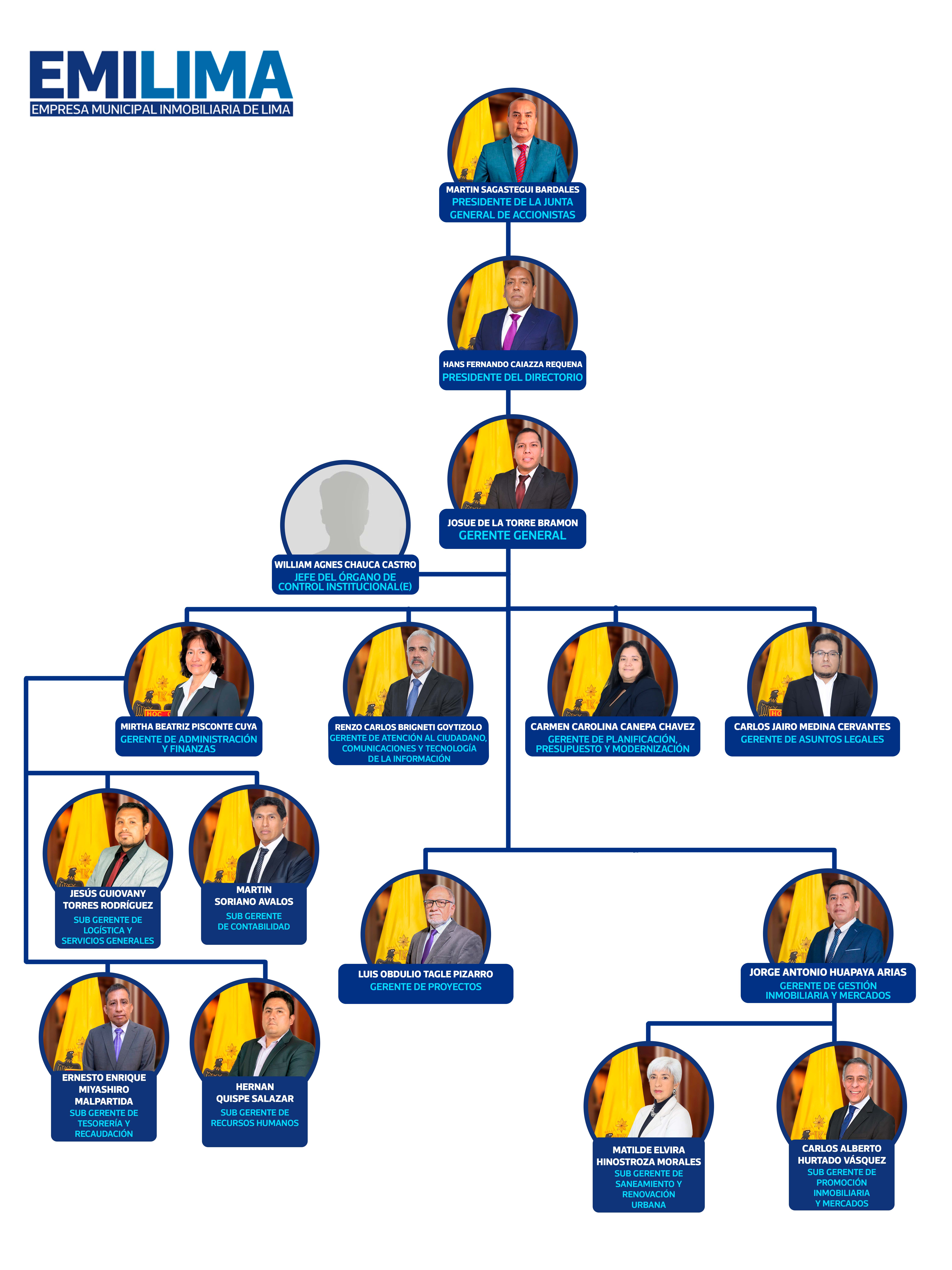 Estructura orgánica Emilima