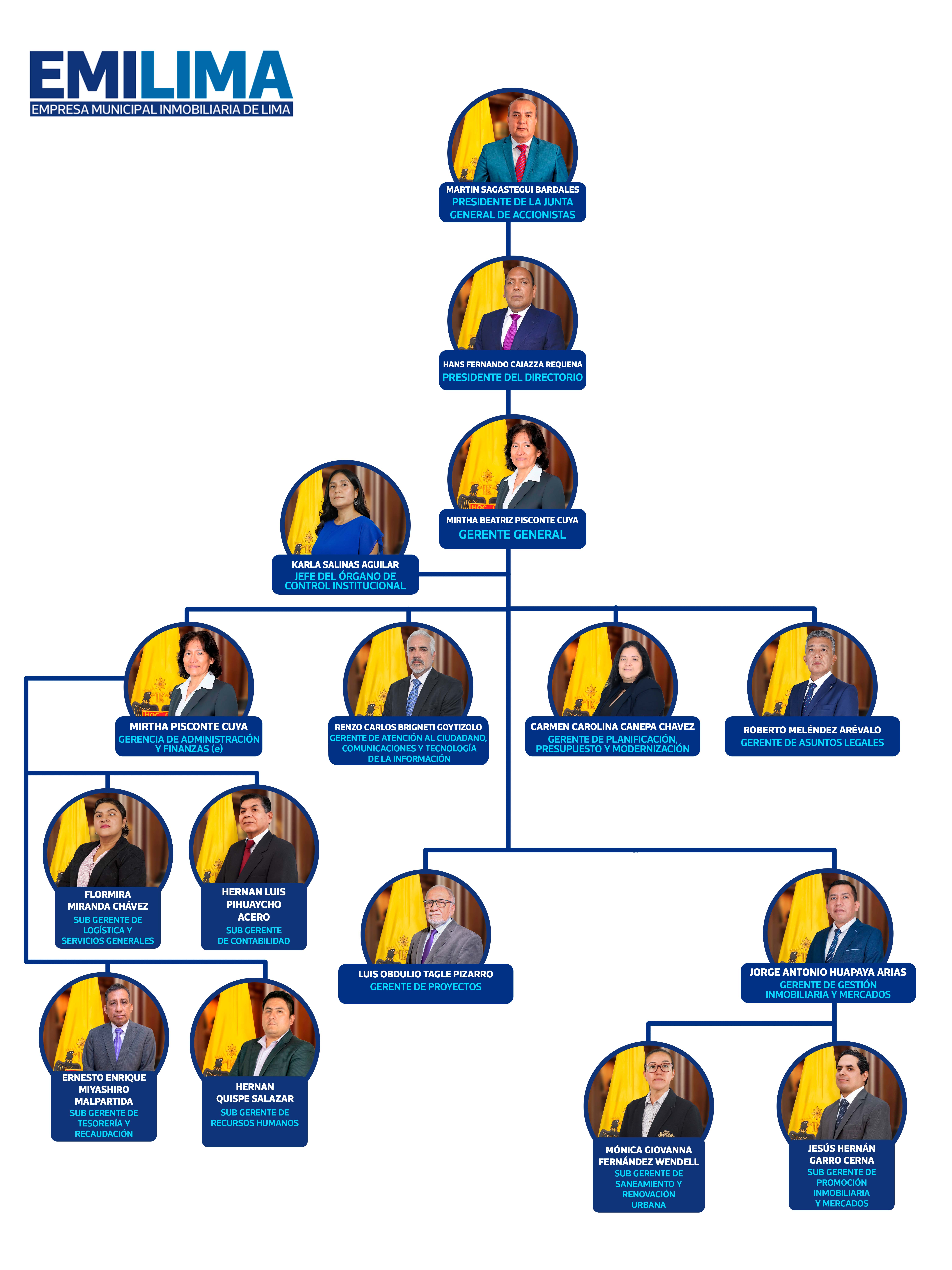 Estructura orgánica Emilima