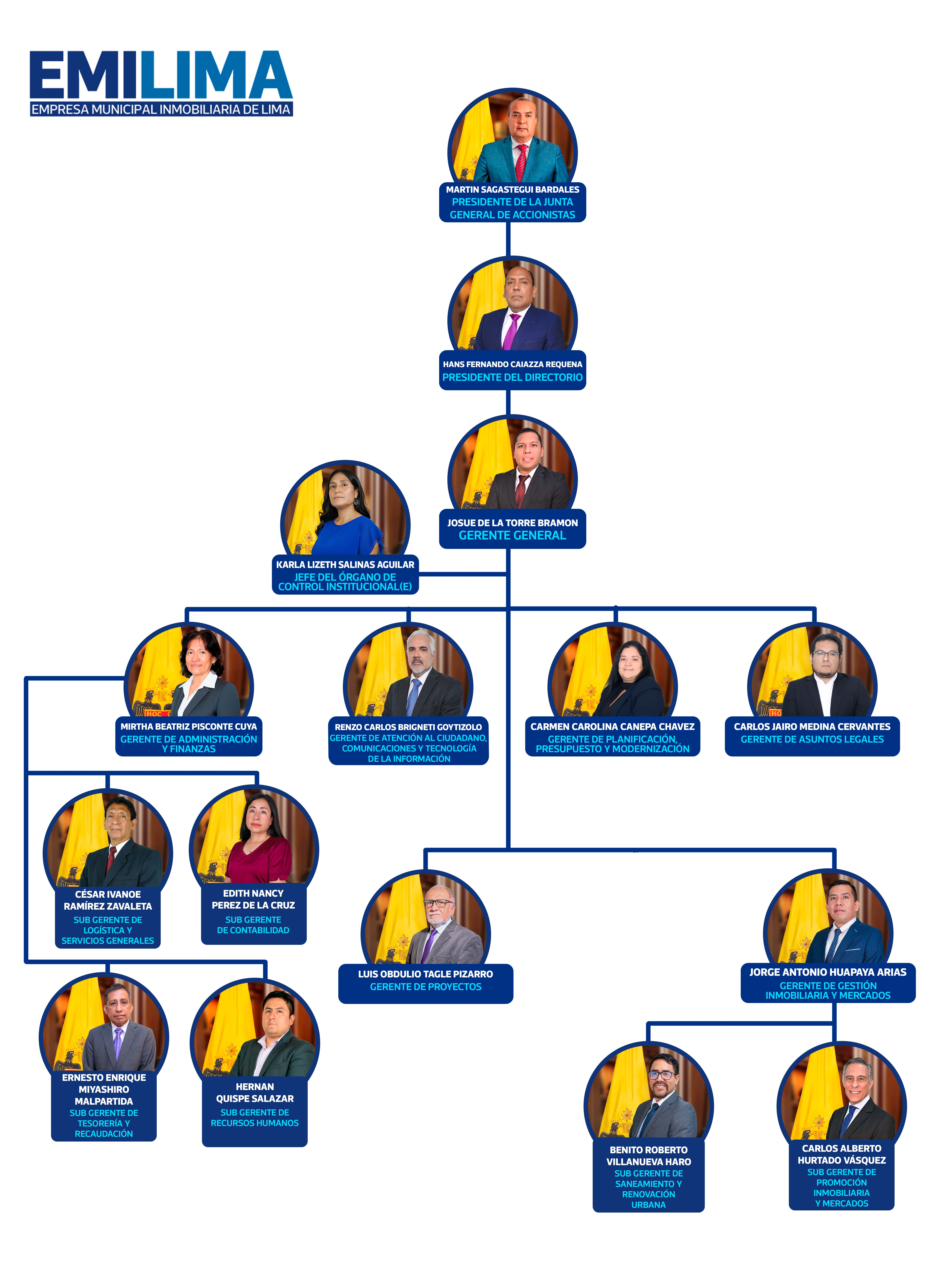 Estructura orgánica Emilima
