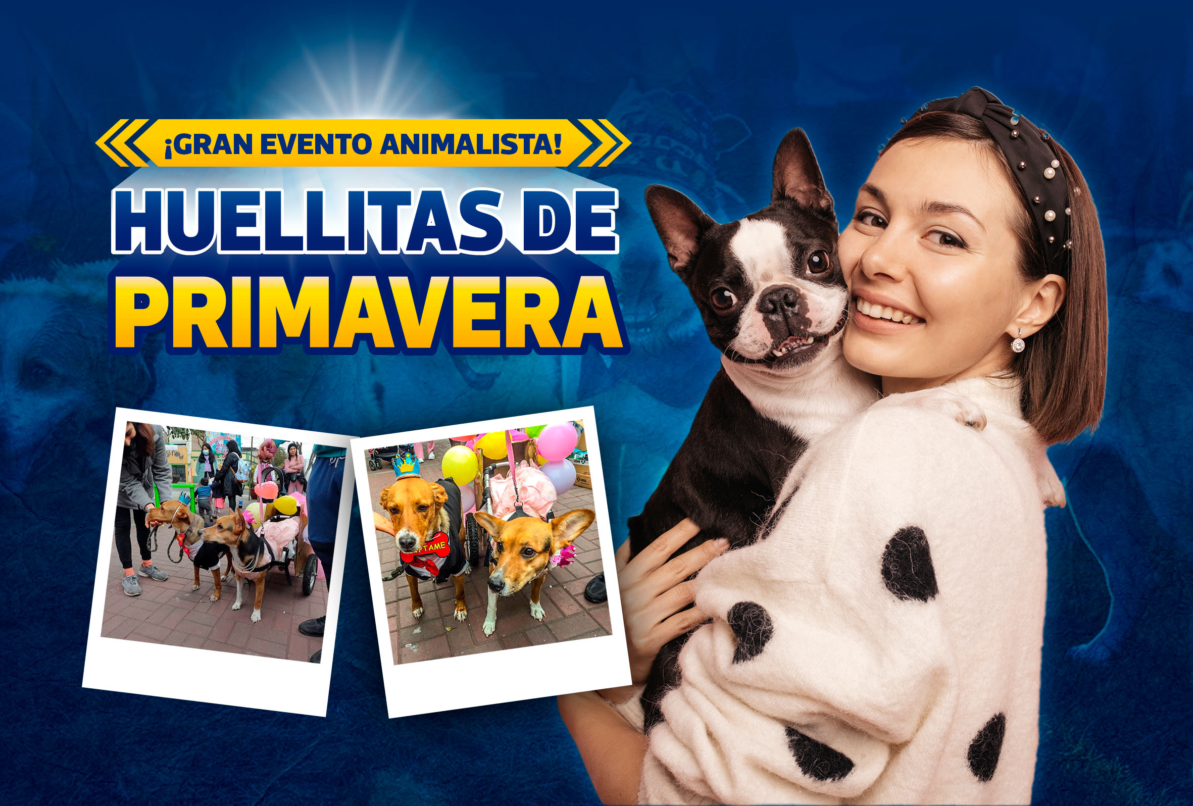noticia