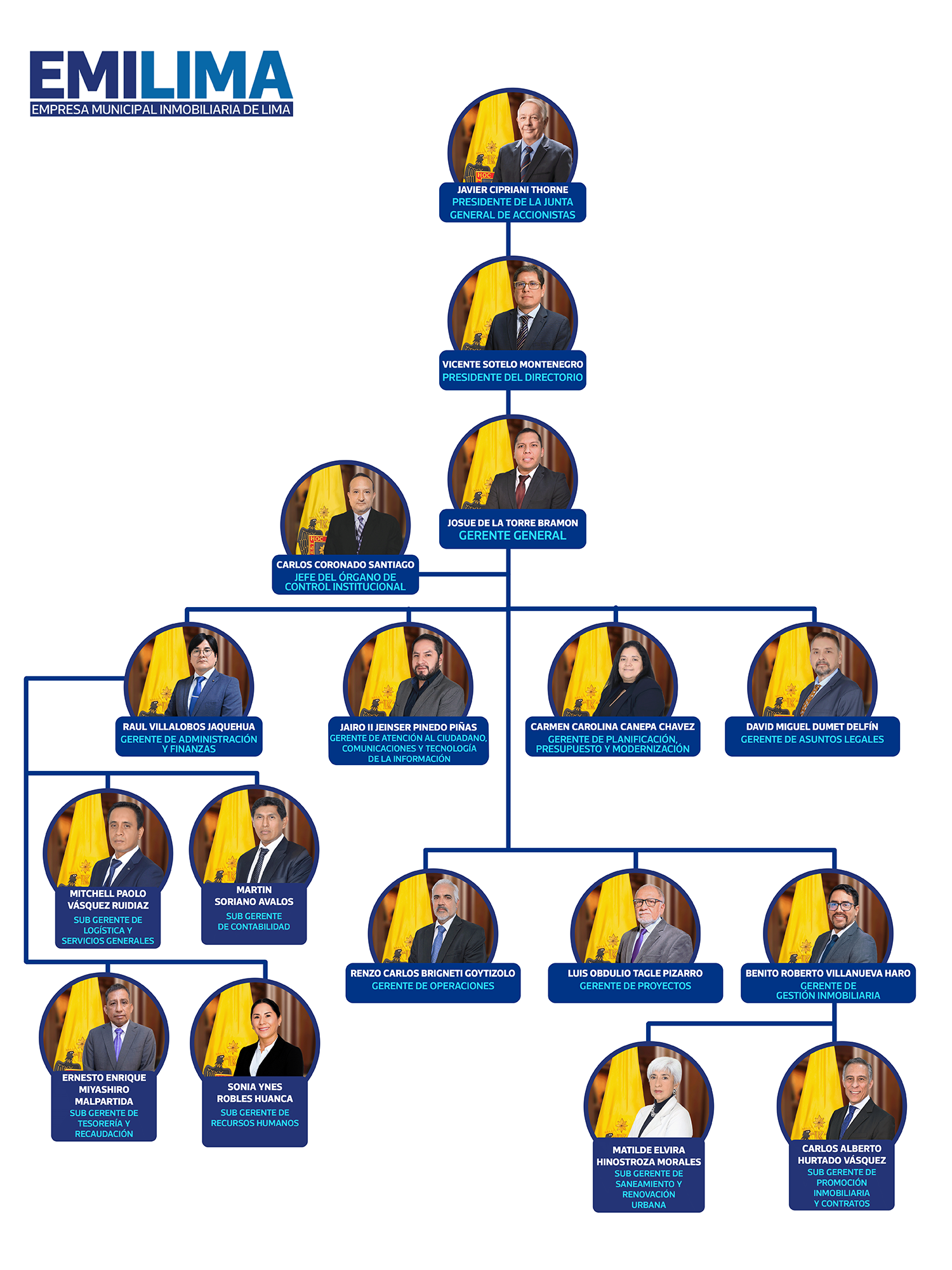 Estructura orgánica Emilima