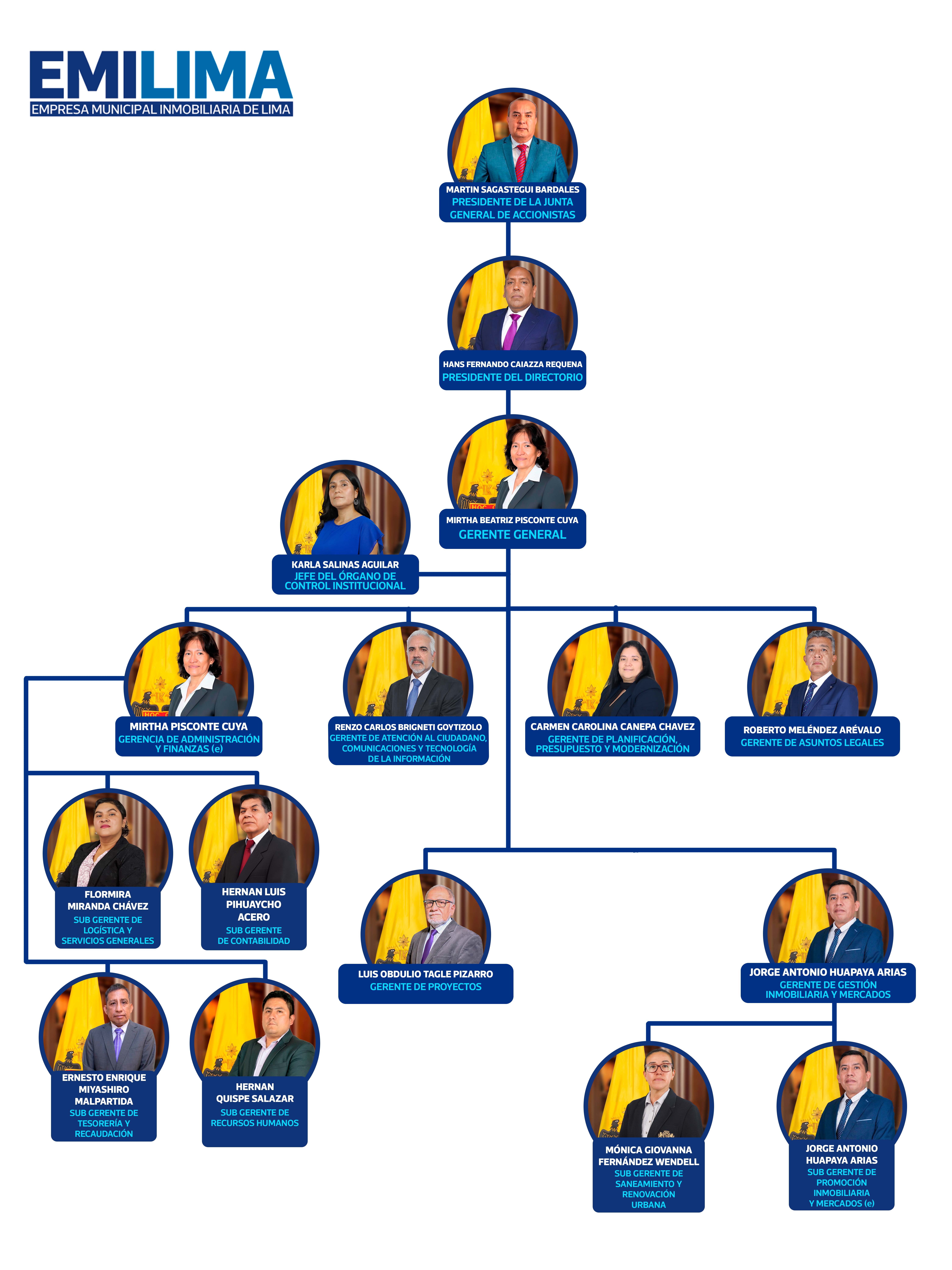 Estructura orgánica Emilima