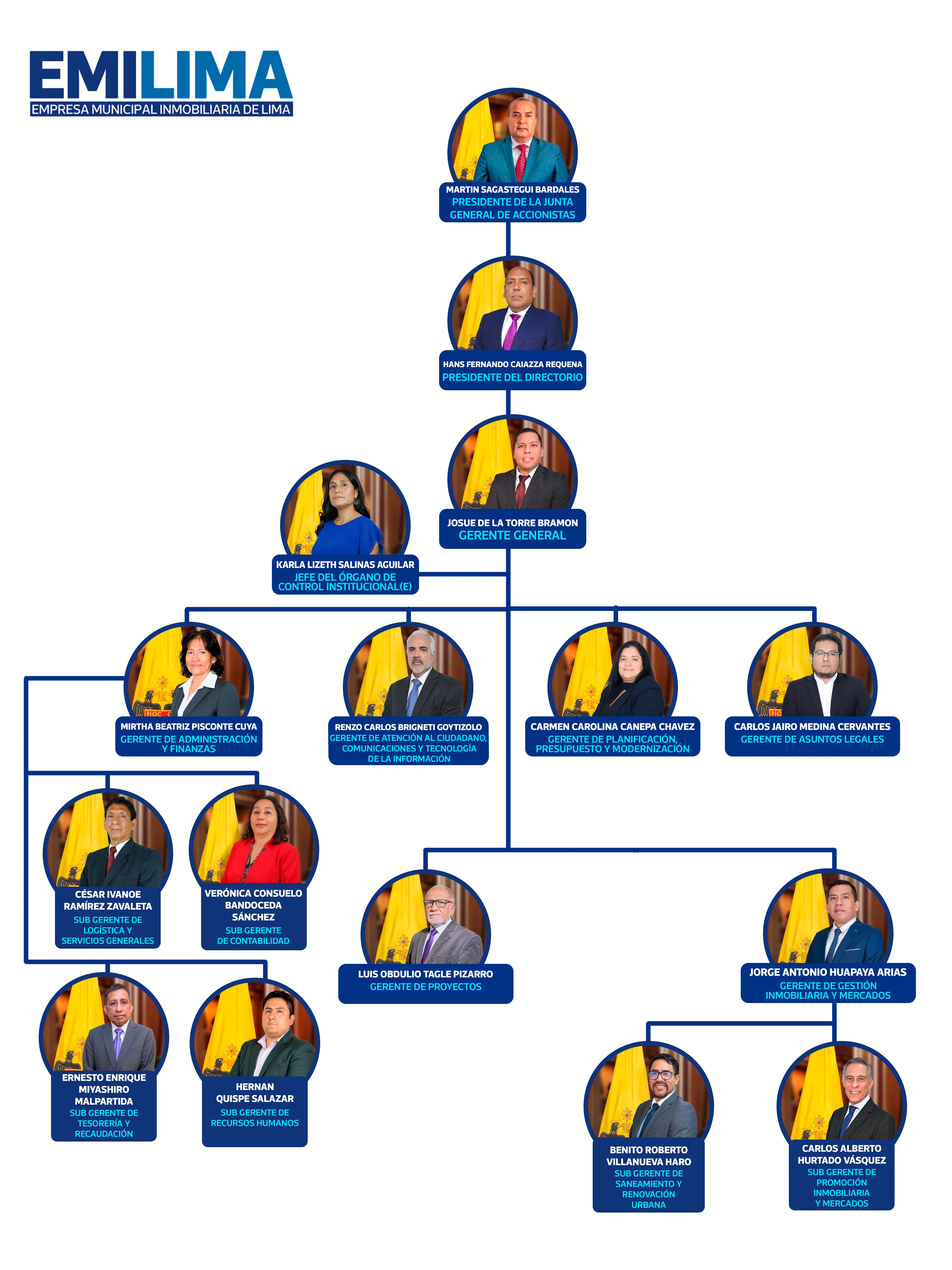 Estructura orgánica Emilima