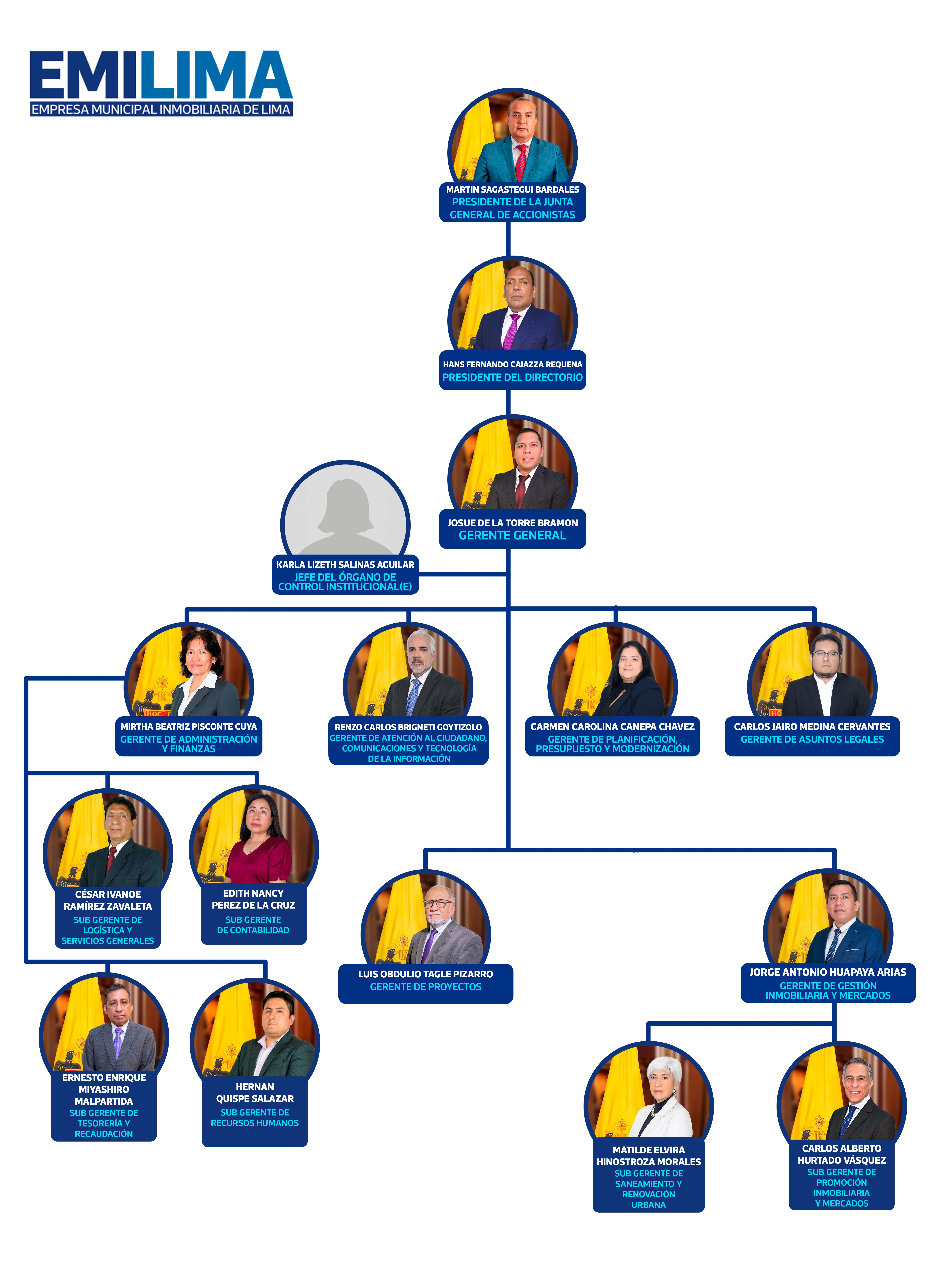 Estructura orgánica Emilima