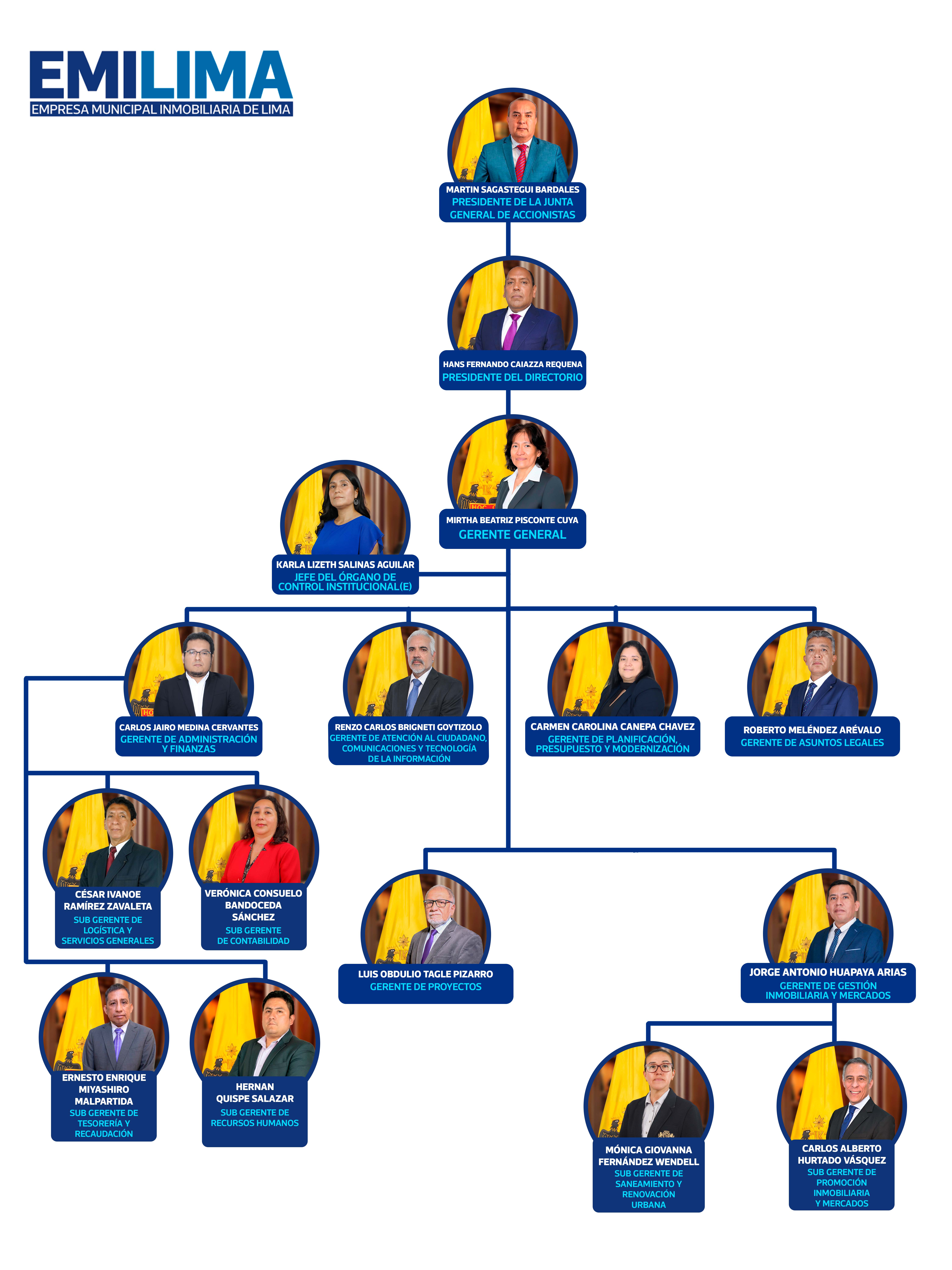 Estructura orgánica Emilima