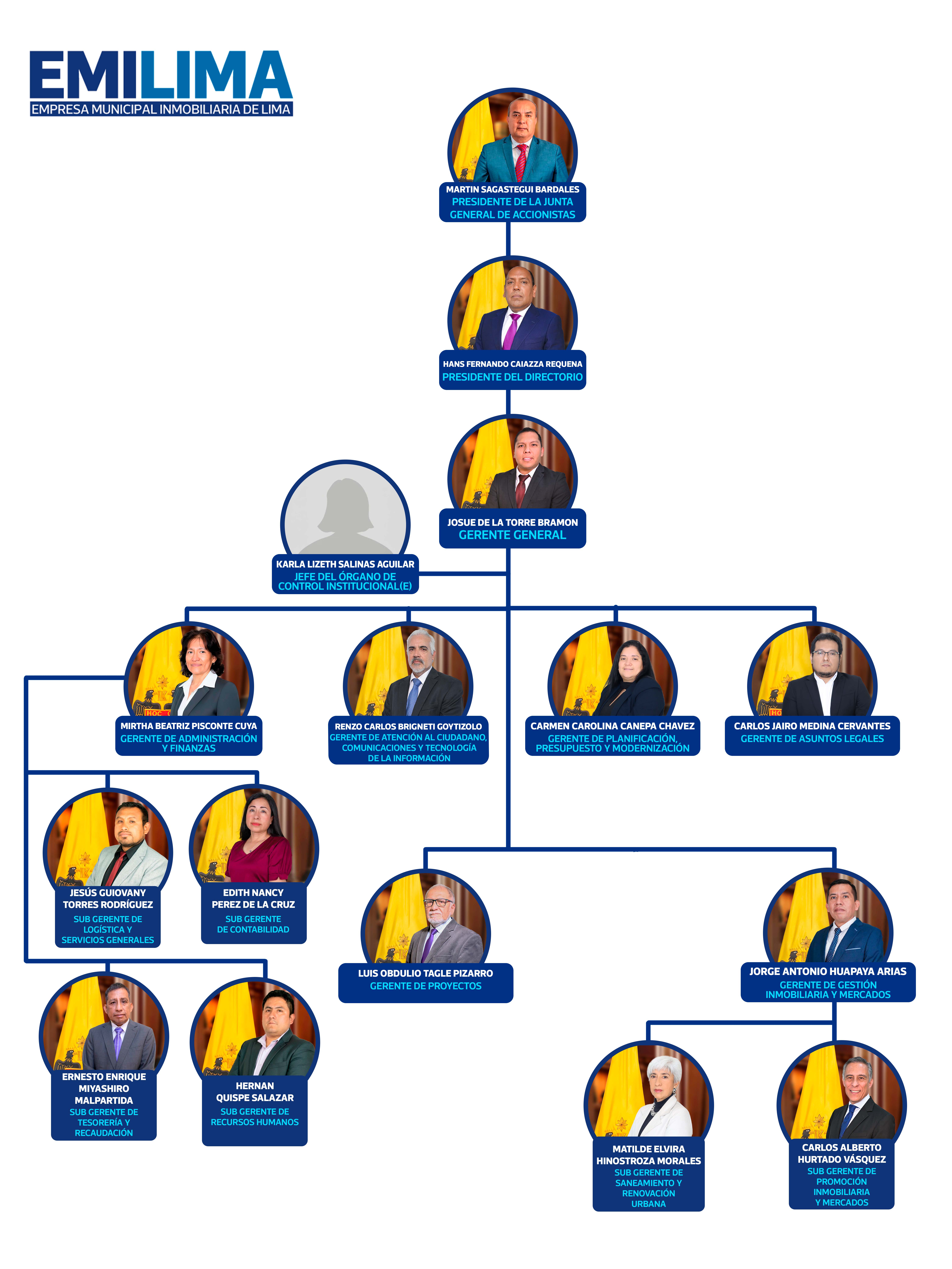 Estructura orgánica Emilima
