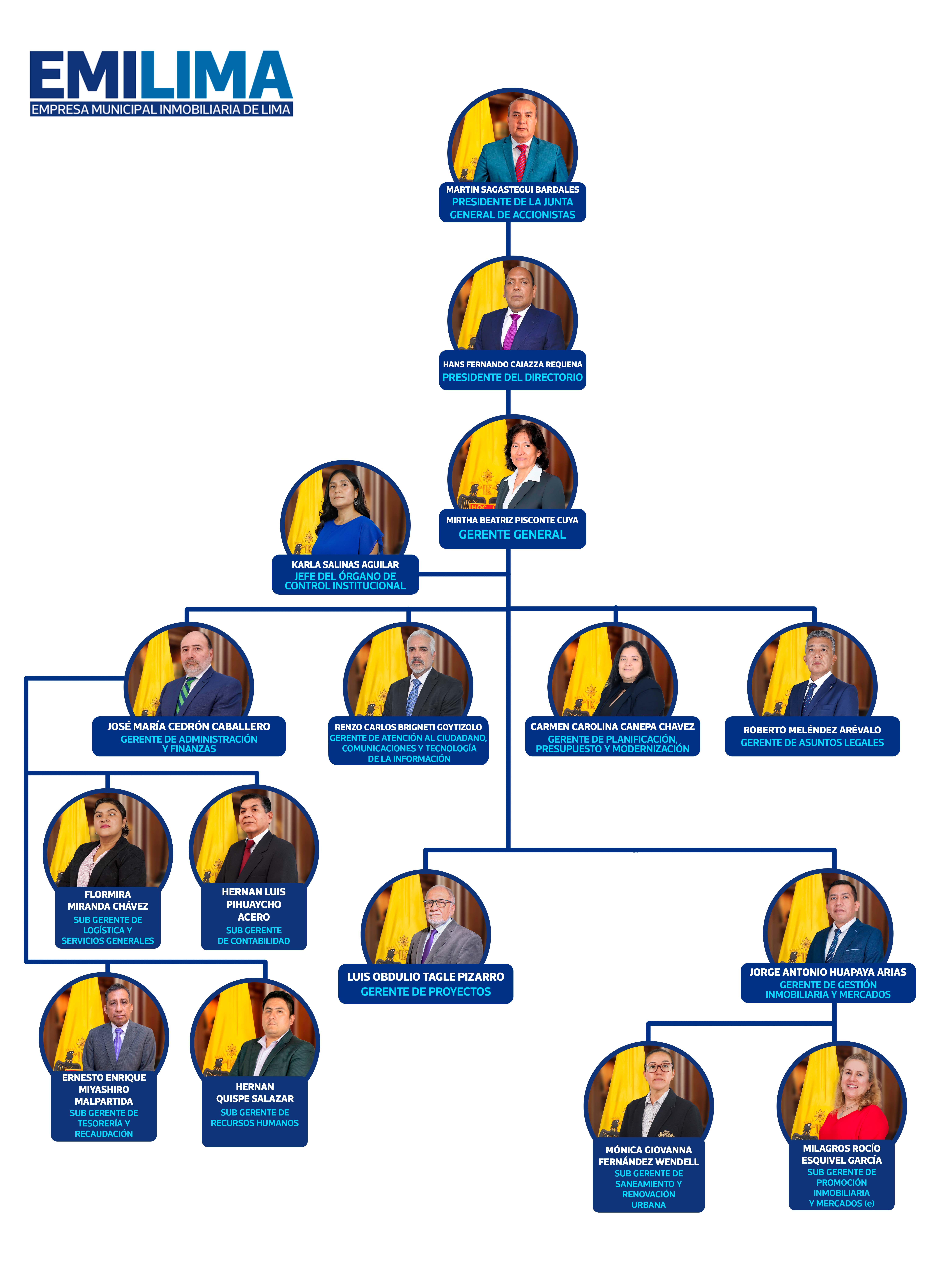 Estructura orgánica Emilima